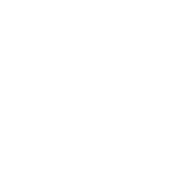 confidentiality-icon